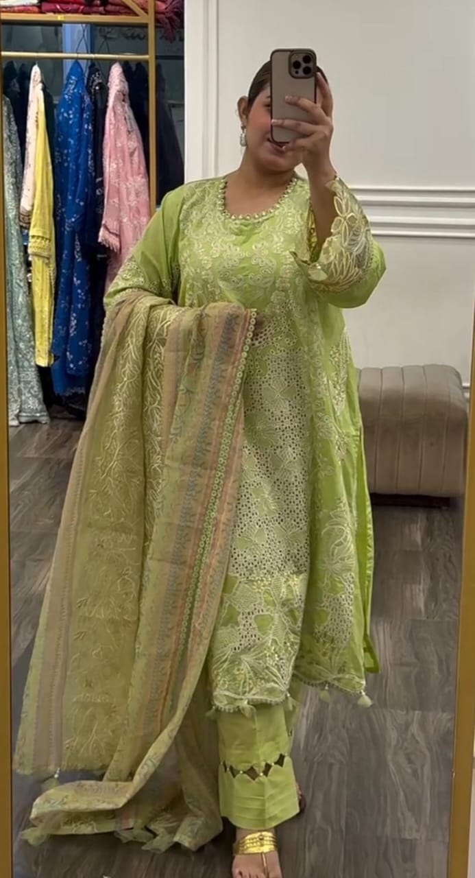 Beautiful Chikankari3pcs Suit For Party wear